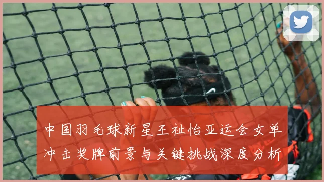 中国羽毛球新星王祉怡亚运会女单冲击奖牌前景与关键挑战深度分析