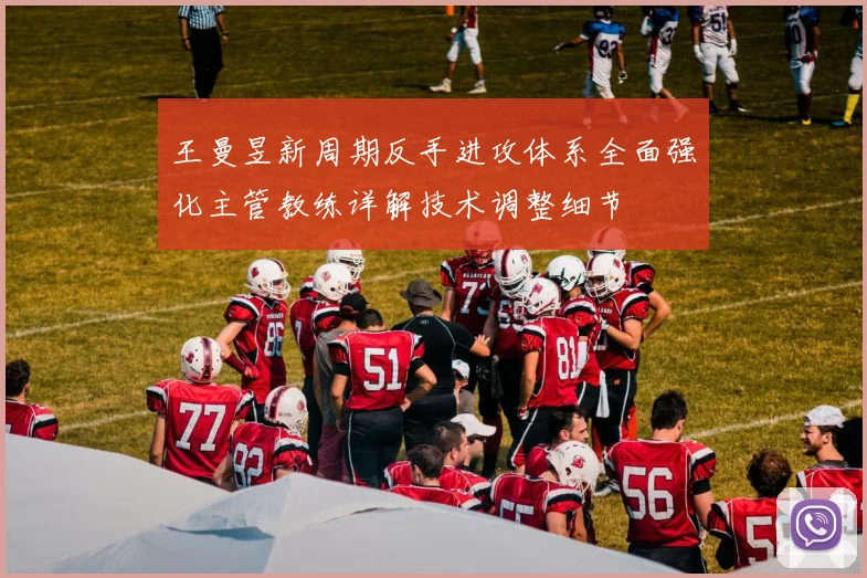 王曼昱新周期反手进攻体系全面强化主管教练详解技术调整细节